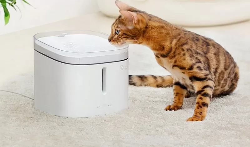 Применение поилки для животных Xiaomi Kitten&Puppy Pet Water Dispenser Пример использования умной поилки для животных Xiaomi Kitten&Puppy Pet Water Dispenser